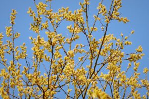 送付状の書き方を病院に合わせて解説しますか？