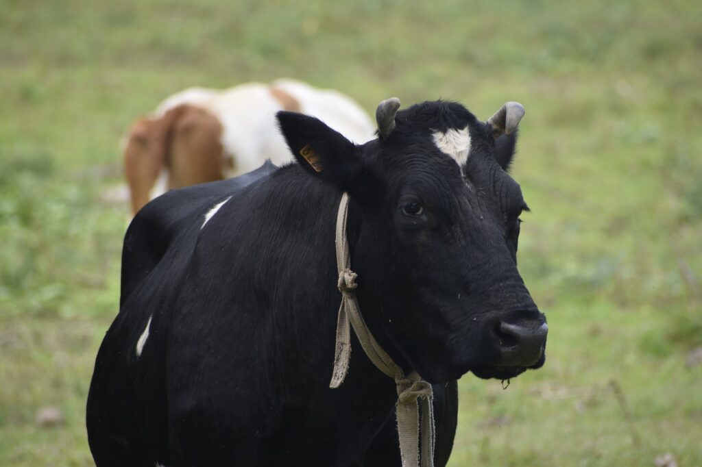 患者さんへの送付状の書き方と注意点は？