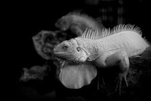 日勤とはどのような勤務形態なのか解説しますか？