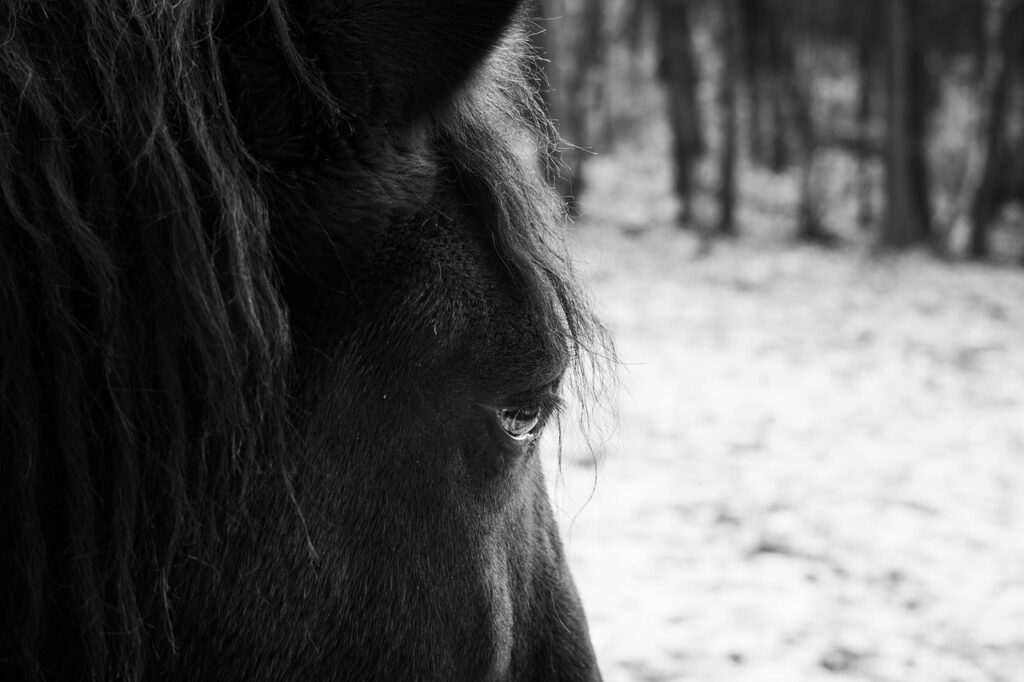 看護師4年目のキャリアアップに必要なスキルとは？